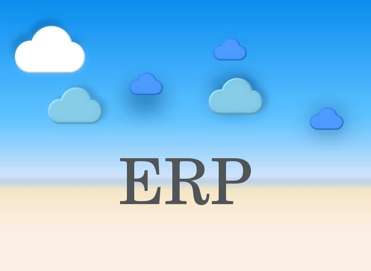 ERP online