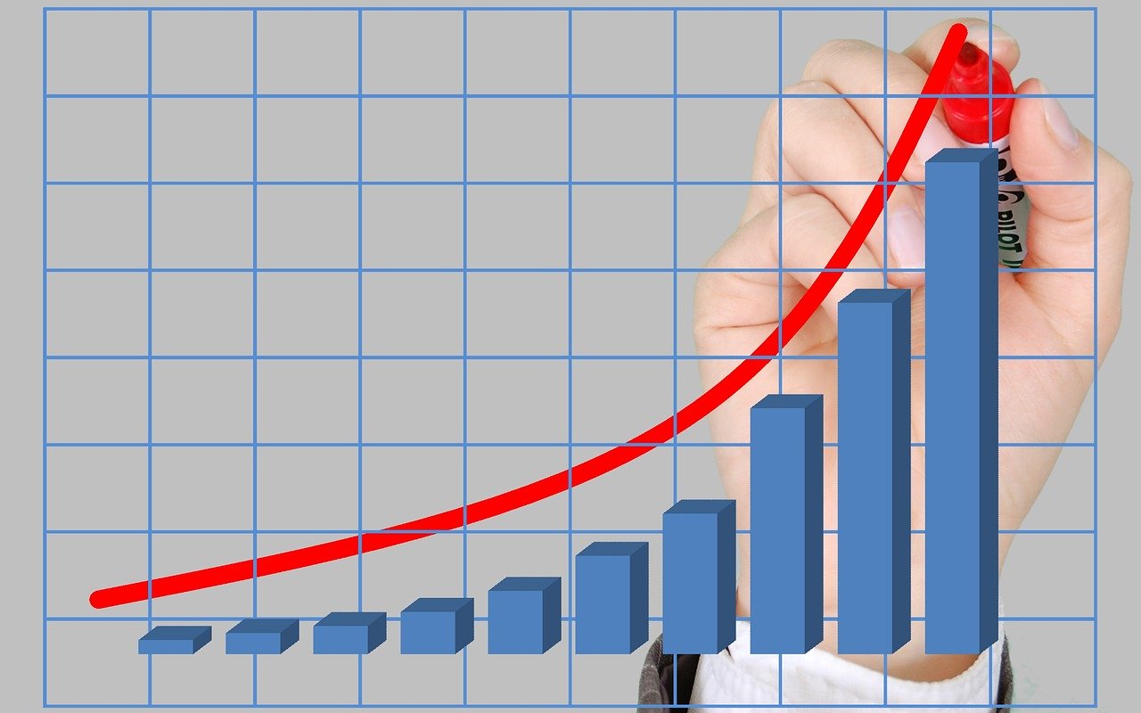 viabilidad negocio